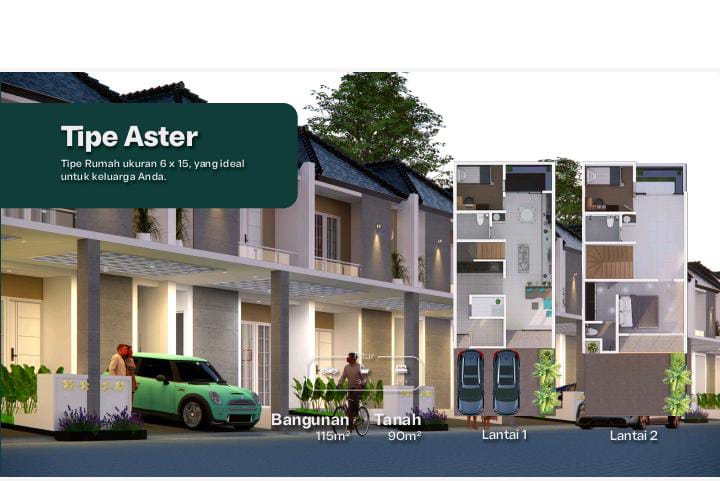 Layout Type Aster